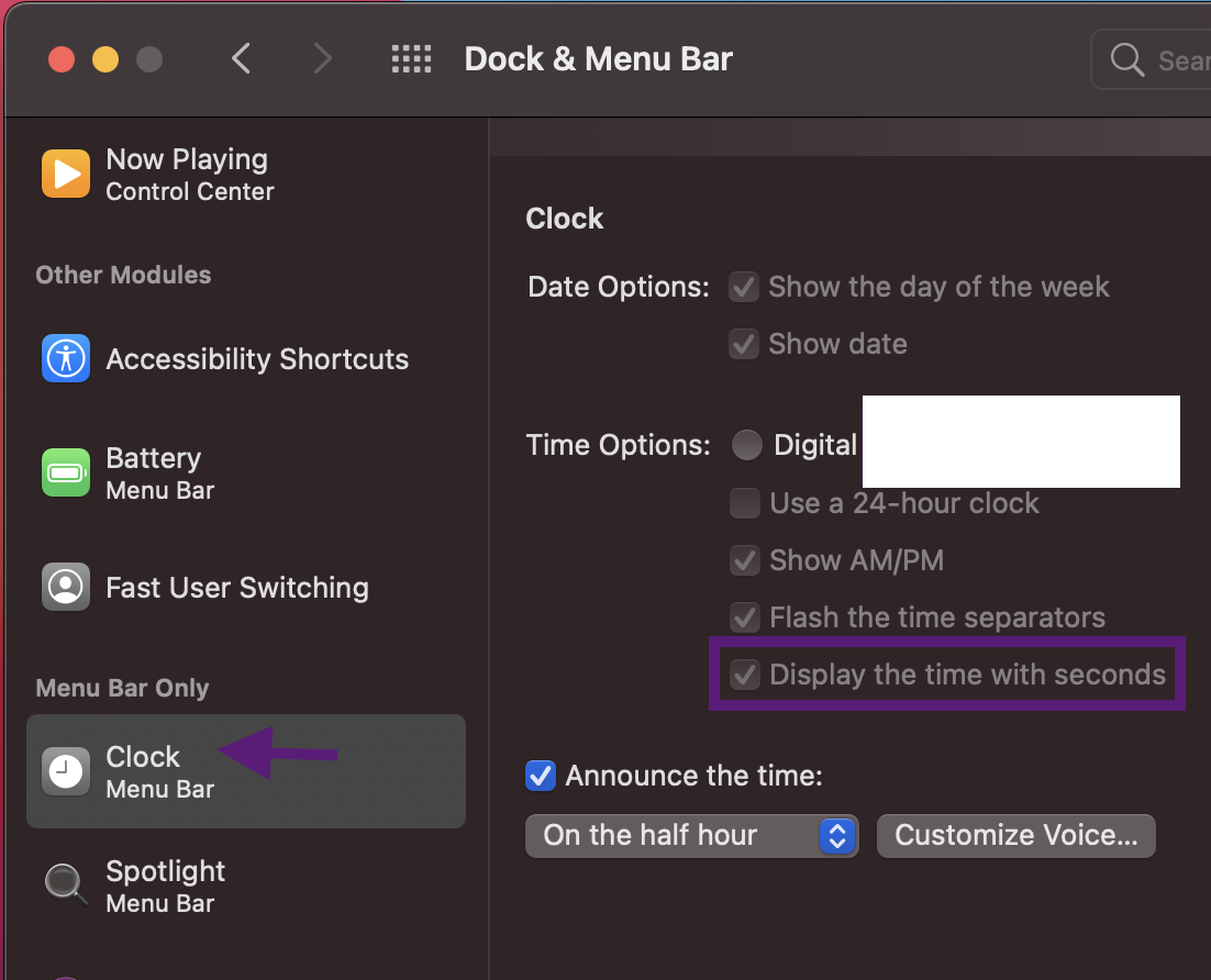 Select Seconds Dock and Menu Bar Options